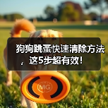 狗狗跳蚤快速清除方法,这5步超有效!(图3) 狗狗跳蚤快速清除方法,这5步超有效!(图3)