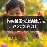狗狗跳蚤快速清除方法,这5步超有效!(图4) 狗狗跳蚤快速清除方法,这5步超有效!(图4)