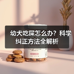 幼犬吃屎怎么办?科学纠正方法全解析(图3) 幼犬吃屎怎么办?科学纠正方法全解析(图3)