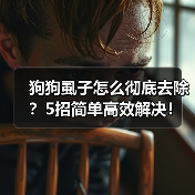 狗狗虱子怎么彻底去除?5招简单高效解决!(图3) 狗狗虱子怎么彻底去除?5招简单高效解决!(图3)
