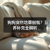 狗狗突然吃草别慌?营养补充全解析(图3) 狗狗突然吃草别慌?营养补充全解析(图3)