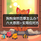 狗狗突然吃草怎么办?六大原因+实用应对方法(图4) 狗狗突然吃草怎么办?六大原因+实用应对方法(图4)