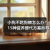 小狗不吃狗粮怎么办?15种营养替代方案推荐(图1) 小狗不吃狗粮怎么办?15种营养替代方案推荐(图1)