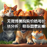 无锡博美狗狗价格与价值分析:哪些因素影响定价?(图2) 无锡博美狗狗价格与价值分析:哪些因素影响定价?(图2)
