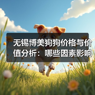 无锡博美狗狗价格与价值分析:哪些因素影响定价?(图4) 无锡博美狗狗价格与价值分析:哪些因素影响定价?(图4)