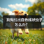 狗狗拉出白色线状虫子怎么办?(图4) 狗狗拉出白色线状虫子怎么办?(图4)