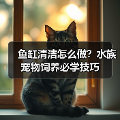 鱼缸清洁怎么做?水族宠物饲养必学技巧(图4) 鱼缸清洁怎么做?水族宠物饲养必学技巧(图4)