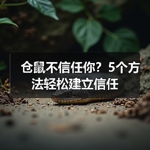 仓鼠不信任你?5个方法轻松建立信任(图3) 仓鼠不信任你?5个方法轻松建立信任(图3)