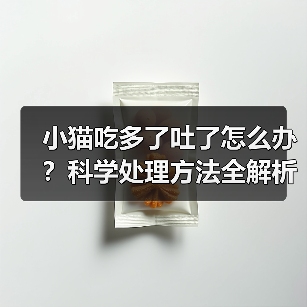小猫吃多了吐了怎么办?科学处理方法全解析(图2) 小猫吃多了吐了怎么办?科学处理方法全解析(图2)