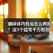猫咪体内有虫怎么判断？这5个信号千万别忽视！（图3）