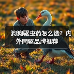 狗狗驱虫药怎么选?内外同驱品牌推荐(图4) 狗狗驱虫药怎么选?内外同驱品牌推荐(图4)