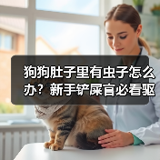 狗狗肚子里有虫子怎么办?新手铲屎官必看驱虫指南(图2) 狗狗肚子里有虫子怎么办?新手铲屎官必看驱虫指南(图2)