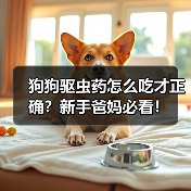狗狗驱虫药怎么吃才正确?新手爸妈必看!(图4) 狗狗驱虫药怎么吃才正确?新手爸妈必看!(图4)