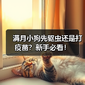 满月小狗先驱虫还是打疫苗?新手必看!(图2) 满月小狗先驱虫还是打疫苗?新手必看!(图2)