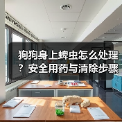 狗狗身上蜱虫怎么处理?安全用药与清除步骤全解析(图4) 狗狗身上蜱虫怎么处理?安全用药与清除步骤全解析(图4)