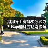 狗狗身上有蜱虫怎么办?科学清除方法别踩坑(图2) 狗狗身上有蜱虫怎么办?科学清除方法别踩坑(图2)