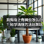 狗狗身上有蜱虫怎么办?科学清除方法别踩坑(图3) 狗狗身上有蜱虫怎么办?科学清除方法别踩坑(图3)