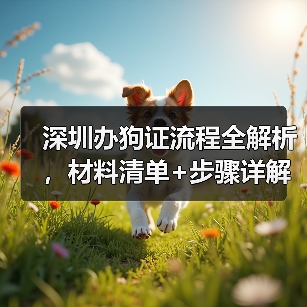 深圳办狗证流程全解析,材料清单+步骤详解(图3) 深圳办狗证流程全解析,材料清单+步骤详解(图3)