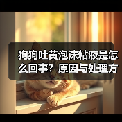 狗狗吐黄泡沫粘液是怎么回事?原因与处理方法全解析(图2) 狗狗吐黄泡沫粘液是怎么回事?原因与处理方法全解析(图2)