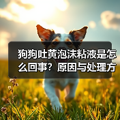 狗狗吐黄泡沫粘液是怎么回事?原因与处理方法全解析(图1) 狗狗吐黄泡沫粘液是怎么回事?原因与处理方法全解析(图1)