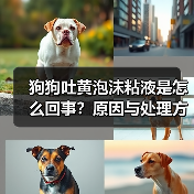 狗狗吐黄泡沫粘液是怎么回事?原因与处理方法全解析(图4) 狗狗吐黄泡沫粘液是怎么回事?原因与处理方法全解析(图4)