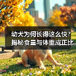 幼犬为何长得这么快?揭秘食量与体重成正比的原因(图4) 幼犬为何长得这么快?揭秘食量与体重成正比的原因(图4)