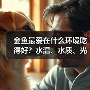 金鱼最爱在什么环境吃得好?水温、水质、光照全解析(图2) 金鱼最爱在什么环境吃得好?水温、水质、光照全解析(图2)