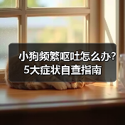 小狗频繁呕吐怎么办?5大症状自查指南(图4) 小狗频繁呕吐怎么办?5大症状自查指南(图4)