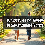 狗狗为何不胖?揭秘保持健康体重的科学饲养方法(图2) 狗狗为何不胖?揭秘保持健康体重的科学饲养方法(图2)