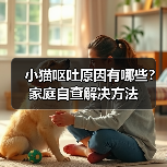 小猫呕吐原因有哪些?家庭自查解决方法(图2) 小猫呕吐原因有哪些?家庭自查解决方法(图2)