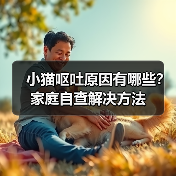 小猫呕吐原因有哪些?家庭自查解决方法(图4) 小猫呕吐原因有哪些?家庭自查解决方法(图4)