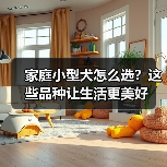 家庭小型犬怎么选?这些品种让生活更美好(图1) 家庭小型犬怎么选?这些品种让生活更美好(图1)