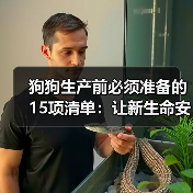 狗狗生产前必须准备的15项清单:让新生命安全出生(图1) 狗狗生产前必须准备的15项清单:让新生命安全出生(图1)