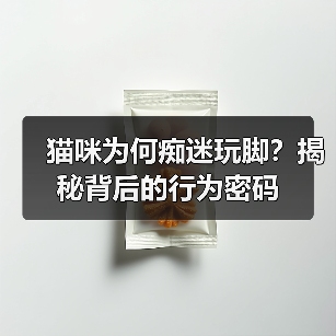 猫咪为何痴迷玩脚?揭秘背后的行为密码(图3) 猫咪为何痴迷玩脚?揭秘背后的行为密码(图3)