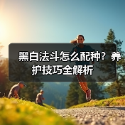 黑白法斗怎么配种?养护技巧全解析(图2) 黑白法斗怎么配种?养护技巧全解析(图2)