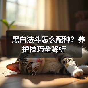 黑白法斗怎么配种?养护技巧全解析(图4) 黑白法斗怎么配种?养护技巧全解析(图4)