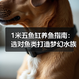 1米五鱼缸养鱼指南:选对鱼类打造梦幻水族乐园(图2) 1米五鱼缸养鱼指南:选对鱼类打造梦幻水族乐园(图2)