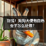 别慌!狗狗大便有白色虫子怎么处理?(图1) 别慌!狗狗大便有白色虫子怎么处理?(图1)