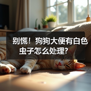 别慌!狗狗大便有白色虫子怎么处理?(图2) 别慌!狗狗大便有白色虫子怎么处理?(图2)