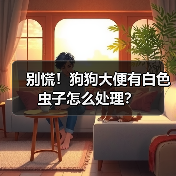 别慌!狗狗大便有白色虫子怎么处理?(图4) 别慌!狗狗大便有白色虫子怎么处理?(图4)