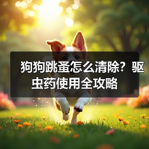 狗狗跳蚤怎么清除？驱虫药使用全攻略（图2）