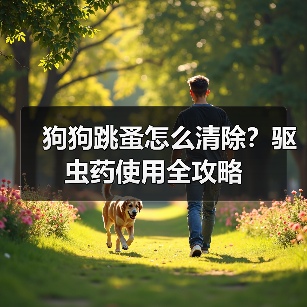 狗狗跳蚤怎么清除？驱虫药使用全攻略（图1）