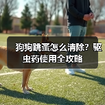 狗狗跳蚤怎么清除？驱虫药使用全攻略（图4）