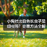 小狗吐出白色长虫子是蛔虫吗？处理方法全解析（图2）
