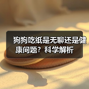 狗狗吃纸是无聊还是健康问题?科学解析(图4) 狗狗吃纸是无聊还是健康问题?科学解析(图4)