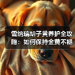 雪纳瑞胡子黄养护全攻略:如何保持金黄不褪色(图2) 雪纳瑞胡子黄养护全攻略:如何保持金黄不褪色(图2)