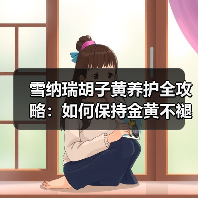 雪纳瑞胡子黄养护全攻略:如何保持金黄不褪色(图4) 雪纳瑞胡子黄养护全攻略:如何保持金黄不褪色(图4)