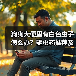 狗狗大便里有白色虫子怎么办?驱虫药推荐及防治指南(图1) 狗狗大便里有白色虫子怎么办?驱虫药推荐及防治指南(图1)
