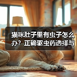 猫咪肚子里有虫子怎么办？正确驱虫药选择与注意事项（图2）