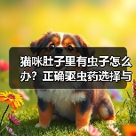 猫咪肚子里有虫子怎么办？正确驱虫药选择与注意事项（图3）